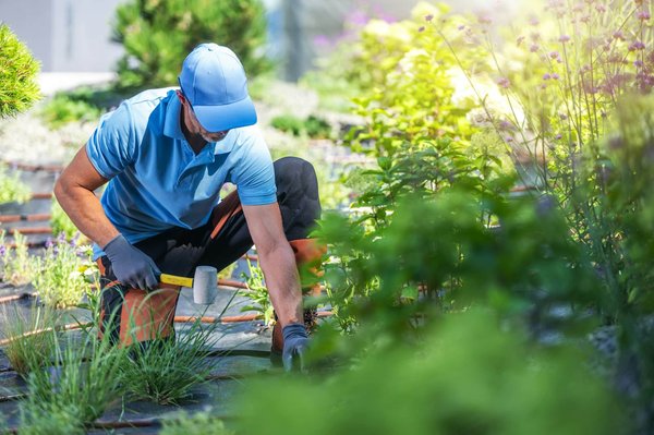 What Are the Key Trends in AI-Driven Content Creation for UK Media?